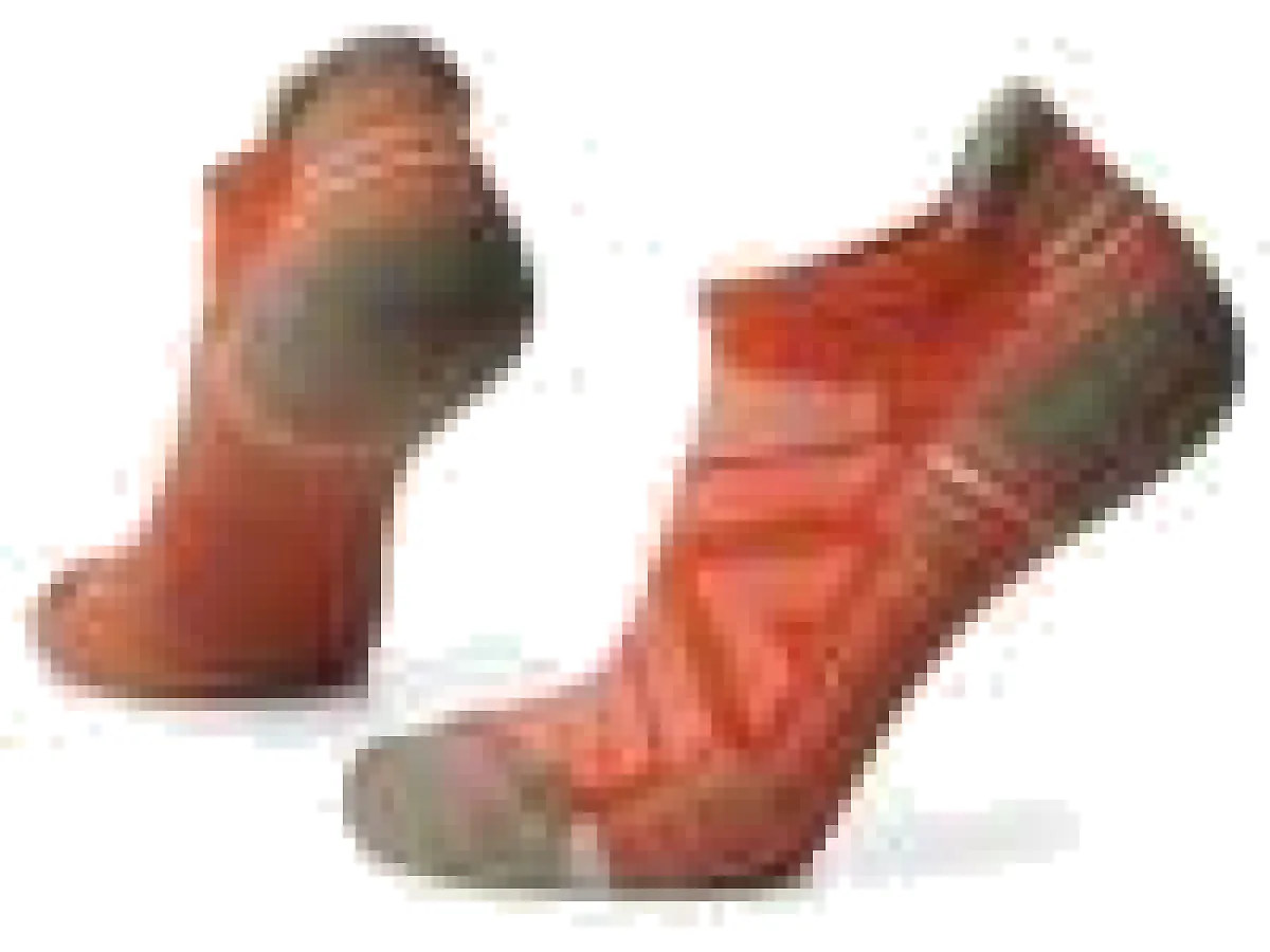 SW001570L17-1-p